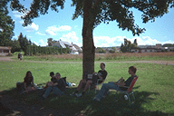 Lrdag; Under ett trd i Jnkping