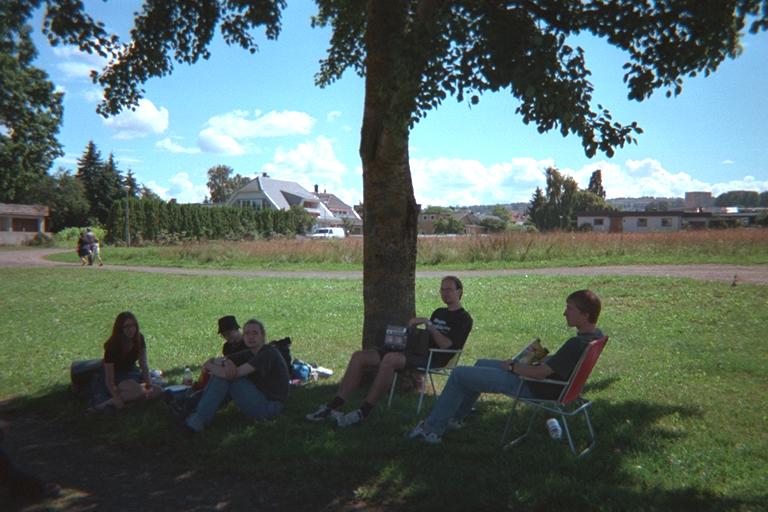 Lrdag; Under ett trd i Jnkping